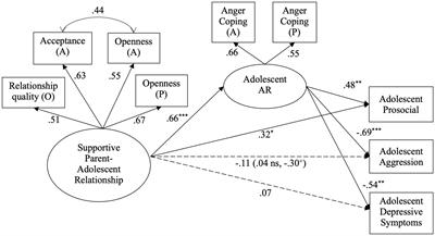 Supportive parent-adolescent relationships as a foundation for adolescent emotion regulation and adjustment